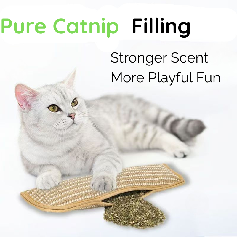 Catnip