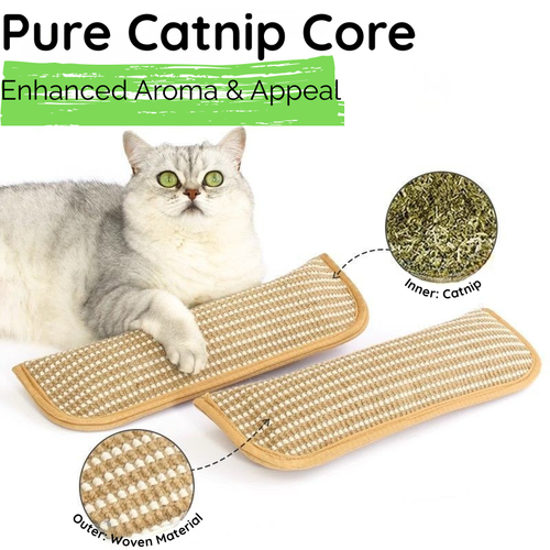 Catnip